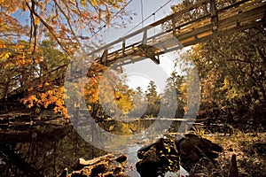 Bridge to tranquility