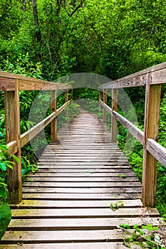 Bridge on a trail through the forest at Codorus State Park, Penn