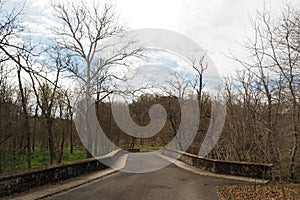 The bridge on the trail in the park.