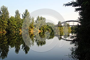 Bridge and trees reflecting at river in summer