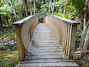 Bridge in a tropical forest leading to the Kitekite Falls waterfall near Auckland, New Zealand