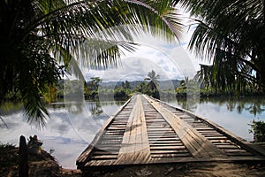 Bridge in tropics