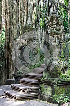 Bridge in Ubud Monkey Forest park, Bali island