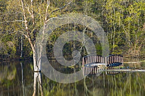 Bridge Underwater at Rebecca Lake Park photo