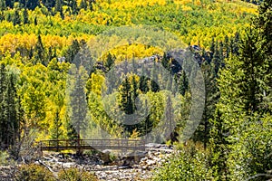 Bridge walk colorado aspen autumn fall colors