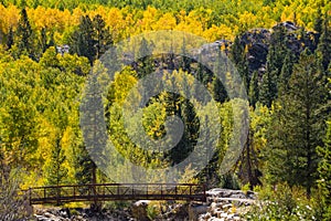 Bridge walk colorado aspen autumn fall colors