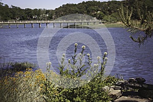 Bridge in Wellfleet, MA Cape Cod