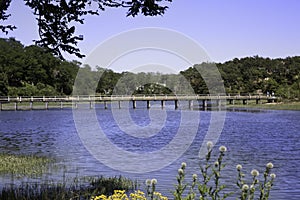 Bridge in Wellfleet, MA Cape Cod