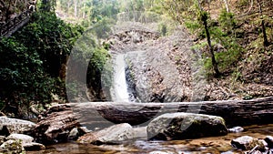 Waterfalls forest survey sidewalk