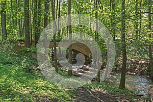 Bridge in the woods.