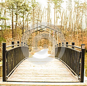 The bridge in the woods photo