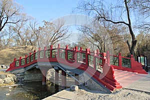 A bridge in Yuanmingyuan Park photo