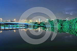 Bridges and greenery by the river at night