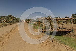 Bridges over an irrigation canal near Kerma, Sud photo