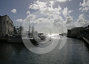 Bridgetown's Yacht Harbour