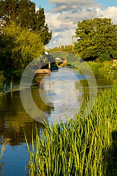 Bridgwater and Taunton Canal Somerset