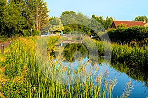 Bridgwater and Taunton Canal Somerset England Uk