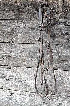 A bridle