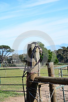 Bridle on a fence post