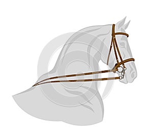 Bridle on horse photo