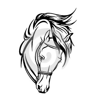 Bridled thoroughbred horse head black and white vector outline