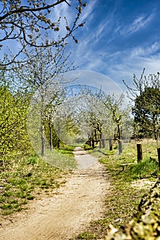 Bridlepath on the old borderline between Berlin and Brandenburg