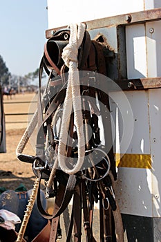 Bridles handing on a horse box