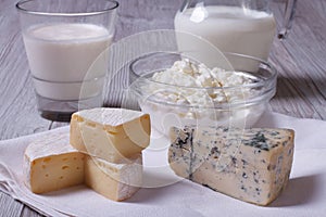 Brie, blue cheese, cottage cheese and milk on the table closeup