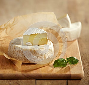 Brie and camembert cheese photo