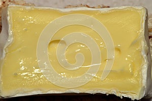 Brie Cheese