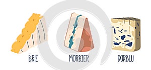 Brie Soft, Creamy Cheese With A Mild Flavor, Perfect With Fruits And Nuts. Morbier Semi-soft With A Distinct Line Of Ash