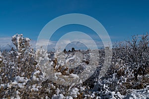 A brief snow in southwest New Mexico.