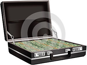 Briefcase full of cash