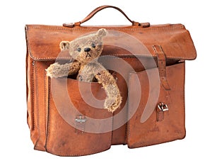 Briefcase and Teddy Bear