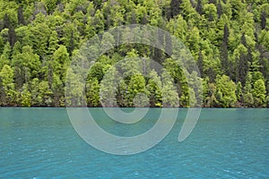 Brienz Lake in Central Switzerland