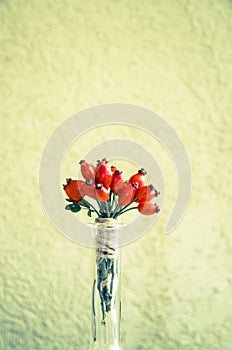 Brier bunch decoration