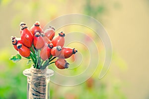 Brier bunch decoration