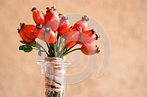 Brier bunch decoration