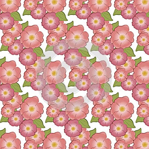 Brier Flower background