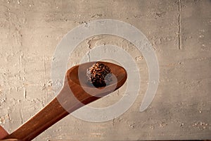 Brigadeiro in wooden spoon on gray background photo