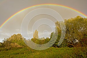 Brigh colorful rainbow on a grey sky over marshalnd landscape with trees