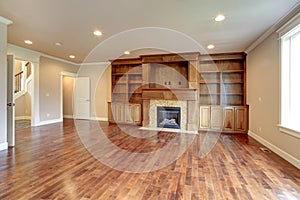 Brigh living room with fireplace and storage combination