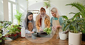 In a bright, airy greenhouse, a multicultural team of female gardeners care for indoor plants, demonstrating teamwork