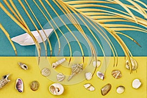 Bright applique with paper boat, various seashells and palm. Tropical vacation concept, exotic nature