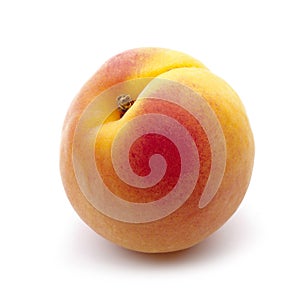 Bright apricot close-up