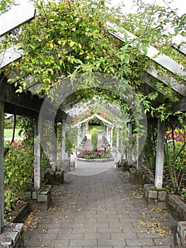 Bright attractive arbor and fresh blossom flowers and leaves at Stanley Park Perennial Garden 2020