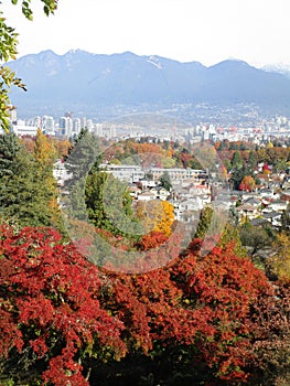 Bright attractive colorful autumn fall scenery of Metro Vancouver and downtown skyline