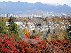 Bright attractive colorful autumn fall scenery of Metro Vancouver and downtown skyline