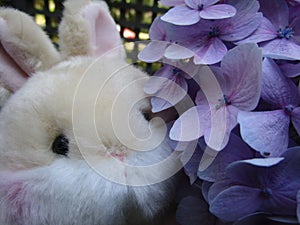 Bright attractive cute brown bunny rabbit stuffed toy with purple hydrangea flowers 2019
