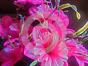 Bright and attractive pink plastic flowers with a wide crown